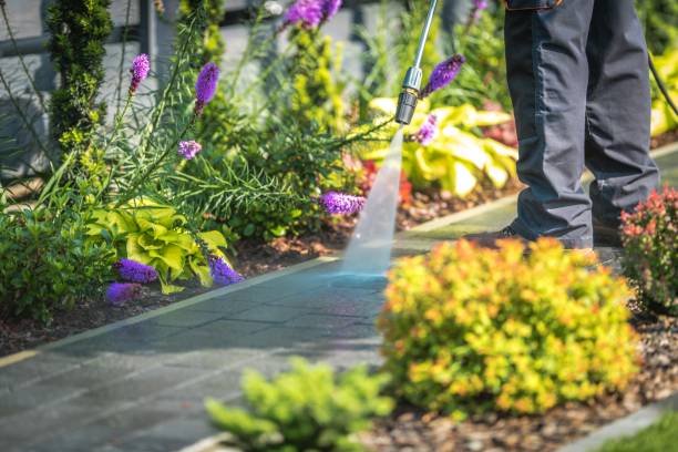 Professional Pressure Washing Services in Mayville, NY